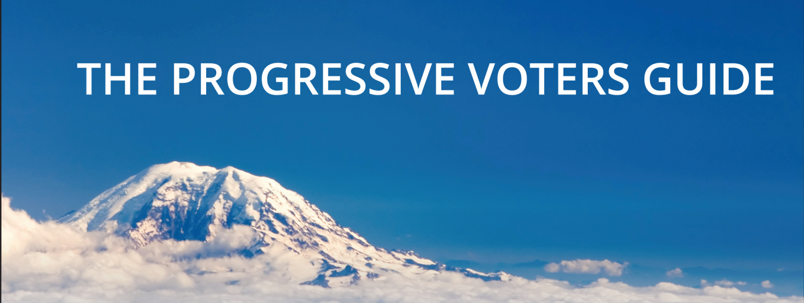 Our 2018 Progressive Voters Guide To The Primary Election Fuse Washington